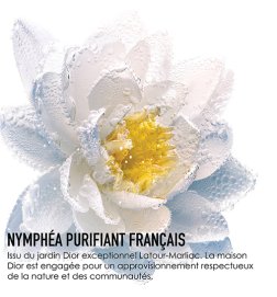 Make-up removal with Nymphéa - Cleansing Milk for face and eyes - Purifying micellar milk